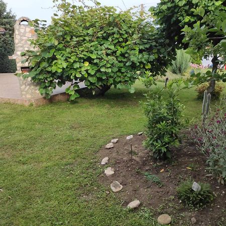 Guesthouse Oasis-Shabla Eksteriør bilde
