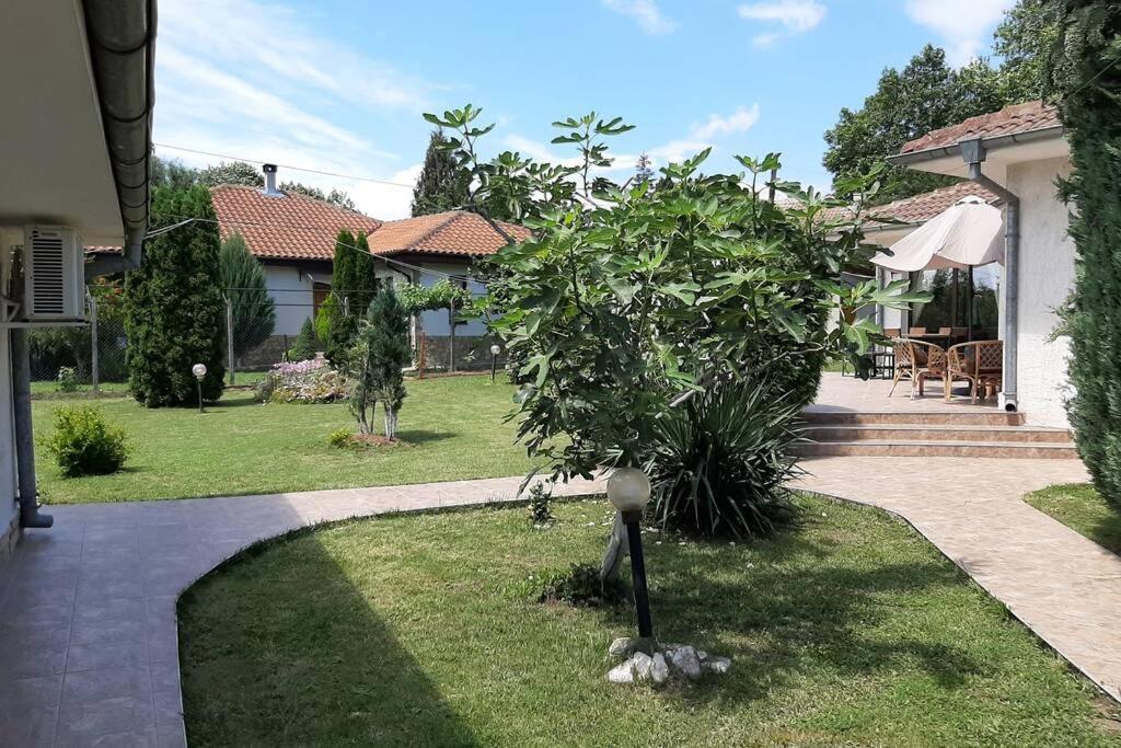 Guesthouse Oasis-Shabla Eksteriør bilde