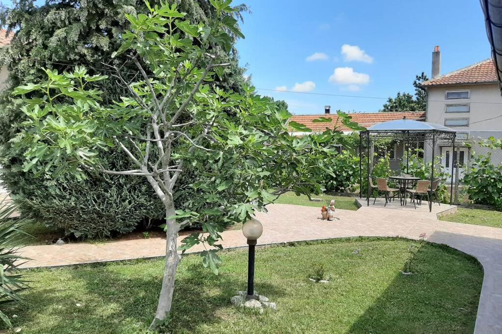 Guesthouse Oasis-Shabla Eksteriør bilde