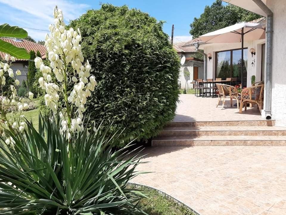 Guesthouse Oasis-Shabla Eksteriør bilde