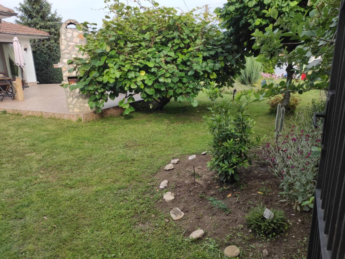 Guesthouse Oasis-Shabla Eksteriør bilde